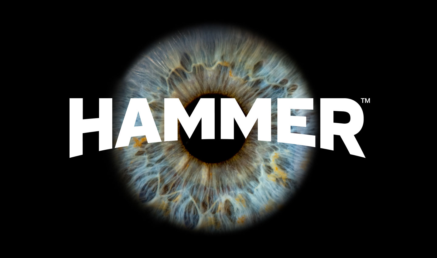 Hammer_logo2